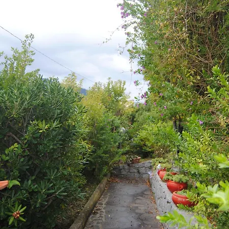 Apartmán Trilocale Dolores Pila (Livorno)